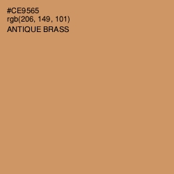 #CE9565 - Antique Brass Color Image